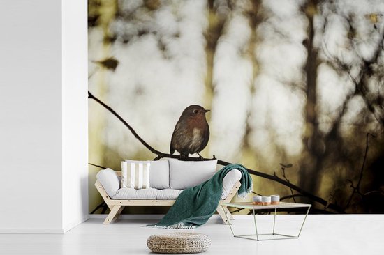 Robin sur une branche dans la nature 385x280 cm