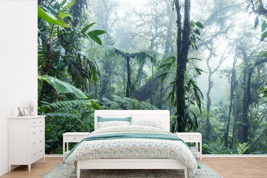 Behang - Fotobehang Een mistig regenwoud in Costa Rica - Breedte 600 cm x hoogte 400 cm