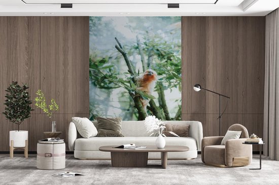 Papier Peint - Papier peint photo Marmotte Pygmée dans un Arbre - Largeur 200 cm x Hauteur 300 cm