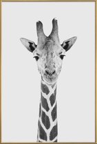 JUNIQE - Poster met kunststof lijst Giraffe Classic -60x90 /Wit &