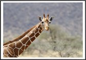 Poster van een giraffe in het wild - 40x50 cm