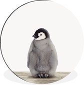 WallCircle - Wandcirkel - Muurcirkel - Pinguïn - Dieren - Baby - Aluminium - Dibond - ⌀ 140 cm - Binnen en Buiten