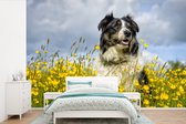 Behang - Fotobehang Een border collie tussen de gele bloemen - Breedte 600 cm x hoogte 400 cm