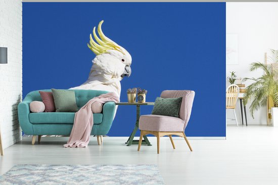 Papier peint photo vinyle - Cacatoès Witte avec une crête jaune dans un ciel bleu largeur 330 cm x hauteur 220 cm - Tirage photo sur papier peint (disponible en 7 tailles)