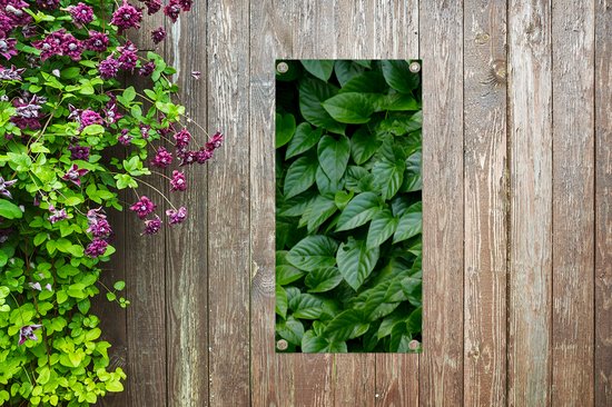 Affiche de jardin Feuilles vertes - 40x80 cm