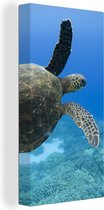 Canvas Schilderij Groene zwemmende schildpad fotoprint - 40x80 cm - Wanddecoratie