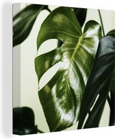 Canvas Schilderij Foto van donkergroen botanisch blad - 90x90 cm - Wanddecoratie