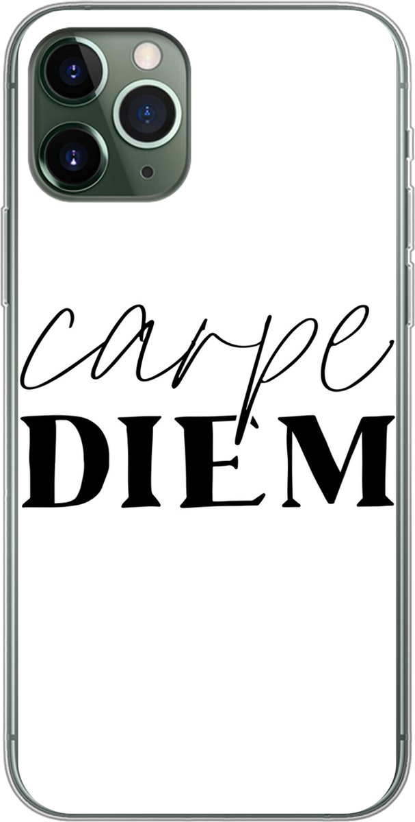 Telefoonhoesje Geschikt voor iPhone 11 Pro hoesje - Quotes - Pluk de dag - Spreuken - Carpe diem - Siliconen Telefoonhoesje Telefoonhoesje