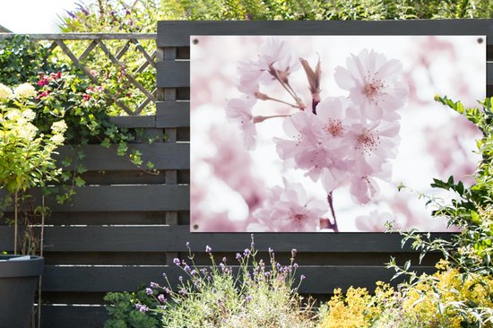 Tuinposter - Tuindoek - Tuinposters buiten - Bloemen - Tak - Bloesem - 120x80 cm - Tuin