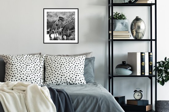 Affiche avec cadre Zèbres buvant - 40x40 cm