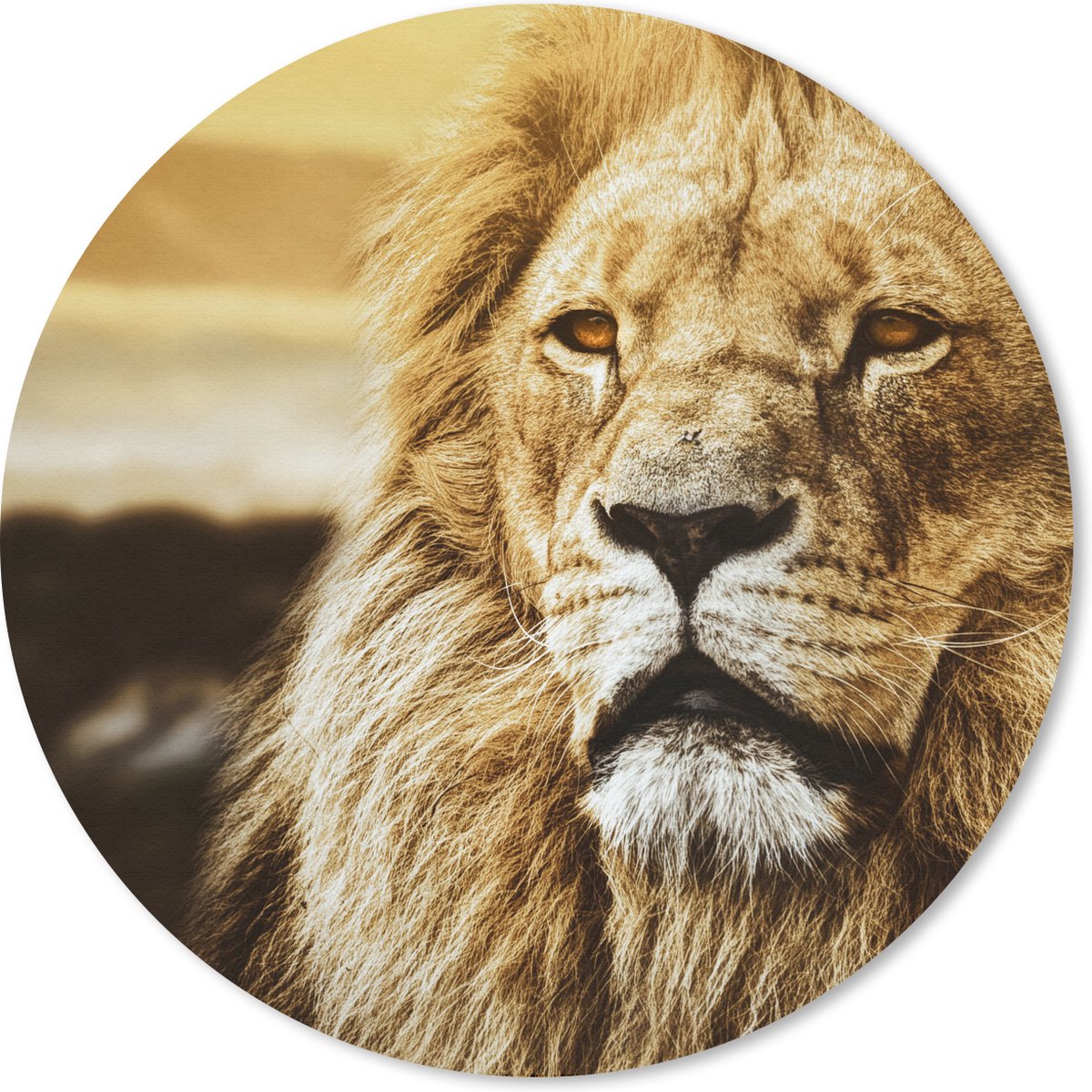Muismat rond 20x20 cm - Mousepad Leeuwen - Profiel - Zonsondergang - Ronde muismatten