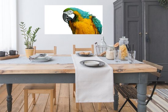 Affiche Perroquet - Vogel - Ressorts - Portrait - 120x60 cm