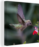 Tableau sur toile Colibri - Bloem - Rouge - 50x50 cm - Décoration murale