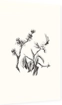 Ruwe Iep zwart-wit (Wych Elm) - Foto op Dibond - 60 x 90 cm