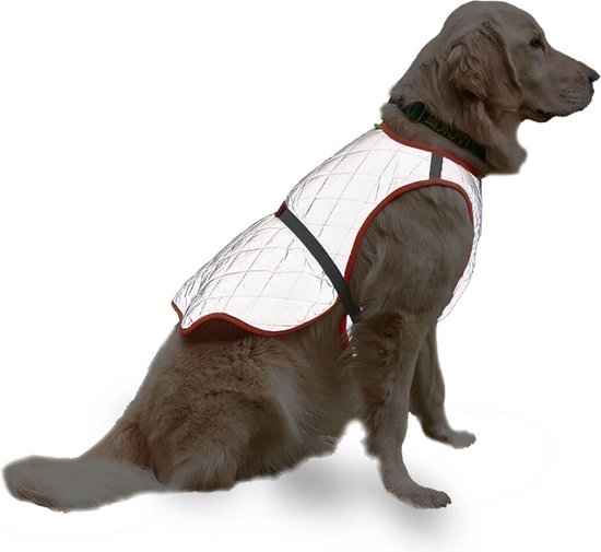 gofluo. Blacky Safety Vest for Dogs - Gilet réfléchissant - Fluorescent -  Visible dans... | bol.com
