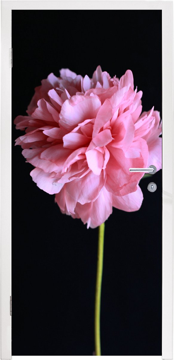 Afbeelding van product StickerSnake  Deursticker Roze pioen in bloei - 80x205 cm - Deurposter