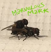 Marvelous Mark - Buzzin' (LP)