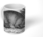 Mok - Realistische schets van etend konijn - 350 ML - Beker