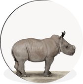 Rhino animal print chambre d'enfant cercle mural aluminium ⌀ 30 cm - impression photo sur cercle mural / cercle vivant / cercle de jardin (décoration murale)