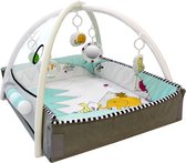 Tryco 5-in-1 Lovely Park Ball Play Activity Gym Speelkleed TR-140202