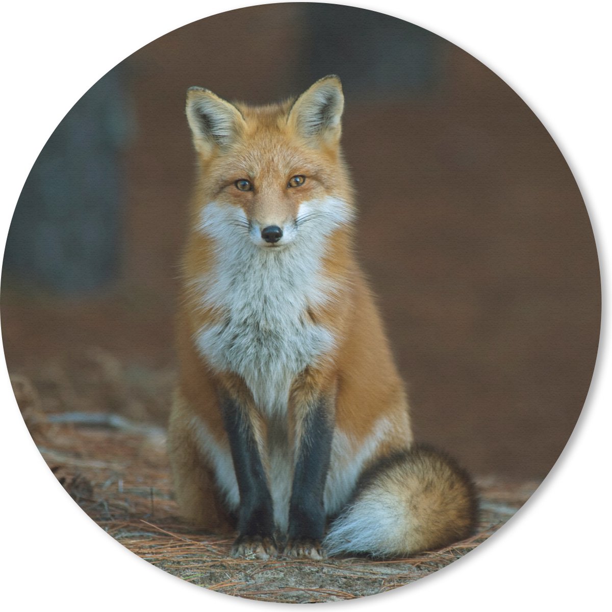 Muismat rond 40x40 cm - Mousepad Vos - Macro - Rood - Ronde muismatten