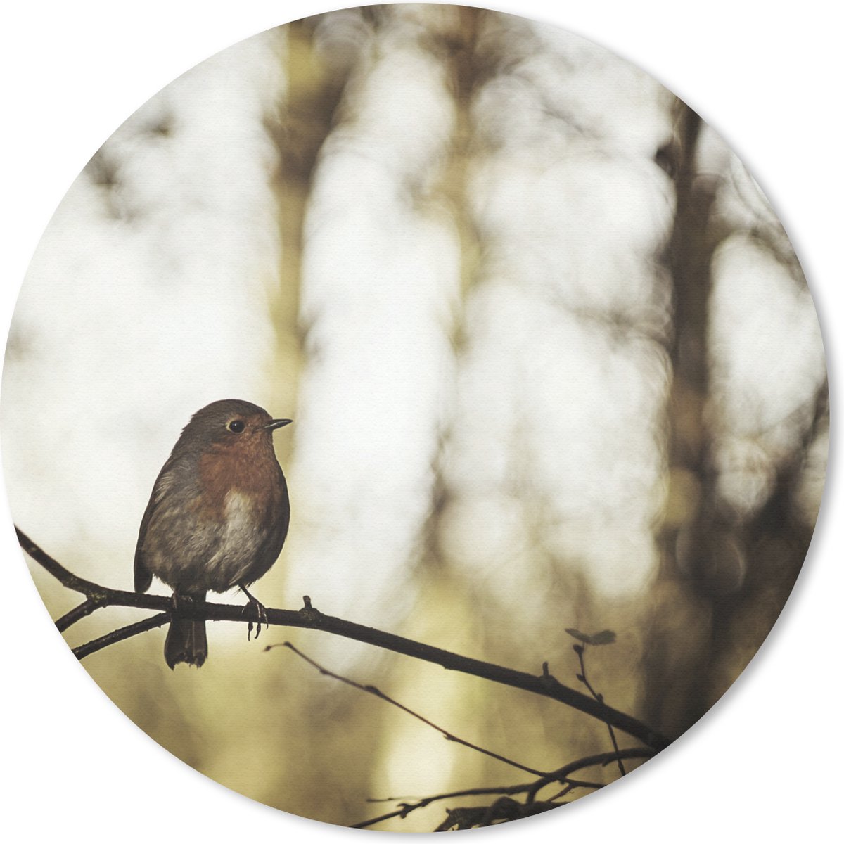 Muismat rond 50x50 cm - Mousepad Natuur - Roodborstje - Tak - Ronde muismatten