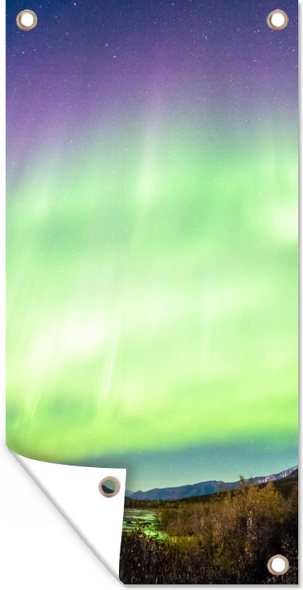 Schuttingposter Noorderlicht - Boom - Berg - Natuur - 100x200 cm - Tuindoek