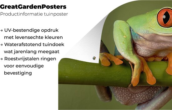 Poster de jardin Grenouille - Vert - Branche - 80x40 cm - Décoration murale Outdoor - Poster jardin - Toile jardin - Poster clôture - Tableau jardin