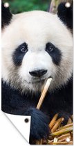 Tuinposter Panda - Bamboe - Natuur - 30x60 cm - Tuindoek - Buitenposter