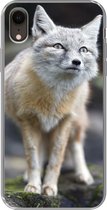 Coque iPhone XR - Renard - Macro - Arbre - Coque de téléphone en Siliconen