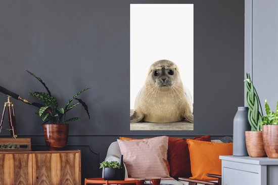 Stickers Stickers muraux - Chambre de bébé - Sceau - Chambre de bébé cm - Film adhésif