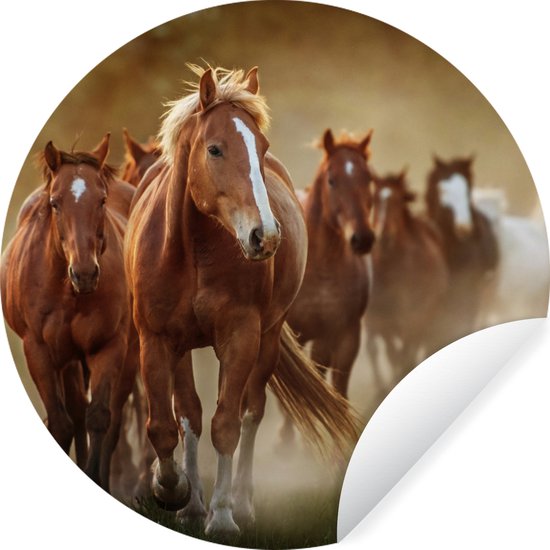 WallCircle - Muurstickers - Behangcirkel - Paarden - Licht - Natuur - ⌀ 140 cm - Muurcirkel - Zelfklevend - Ronde Behangsticker