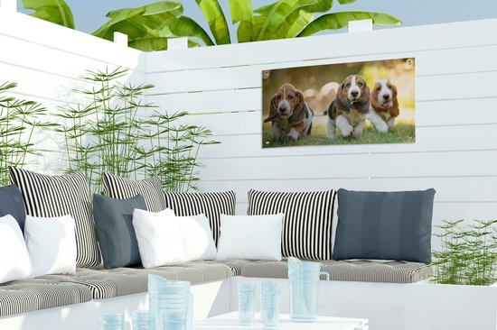 Poster de jardin Les chiots courent dans l'herbe - 60x30 cm - Toile de jardin - Poster extérieur
