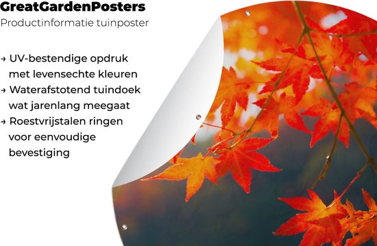 Garden Circle Feuilles d'Automne au Japon - 90x90 cm - Poster de Jardin