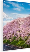 Artaza Glasschilderij - Roze Bloesembomen Bij De Fuji Berg - 40x60 - Plexiglas Schilderij - Foto op Glas