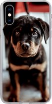 Geschikt voor iPhone X hoesje - Jong - Hond - Camera - Siliconen Telefoonhoesje
