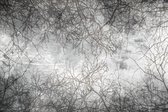 Fotobehang - Branch Abstract 375x250cm - Vliesbehang