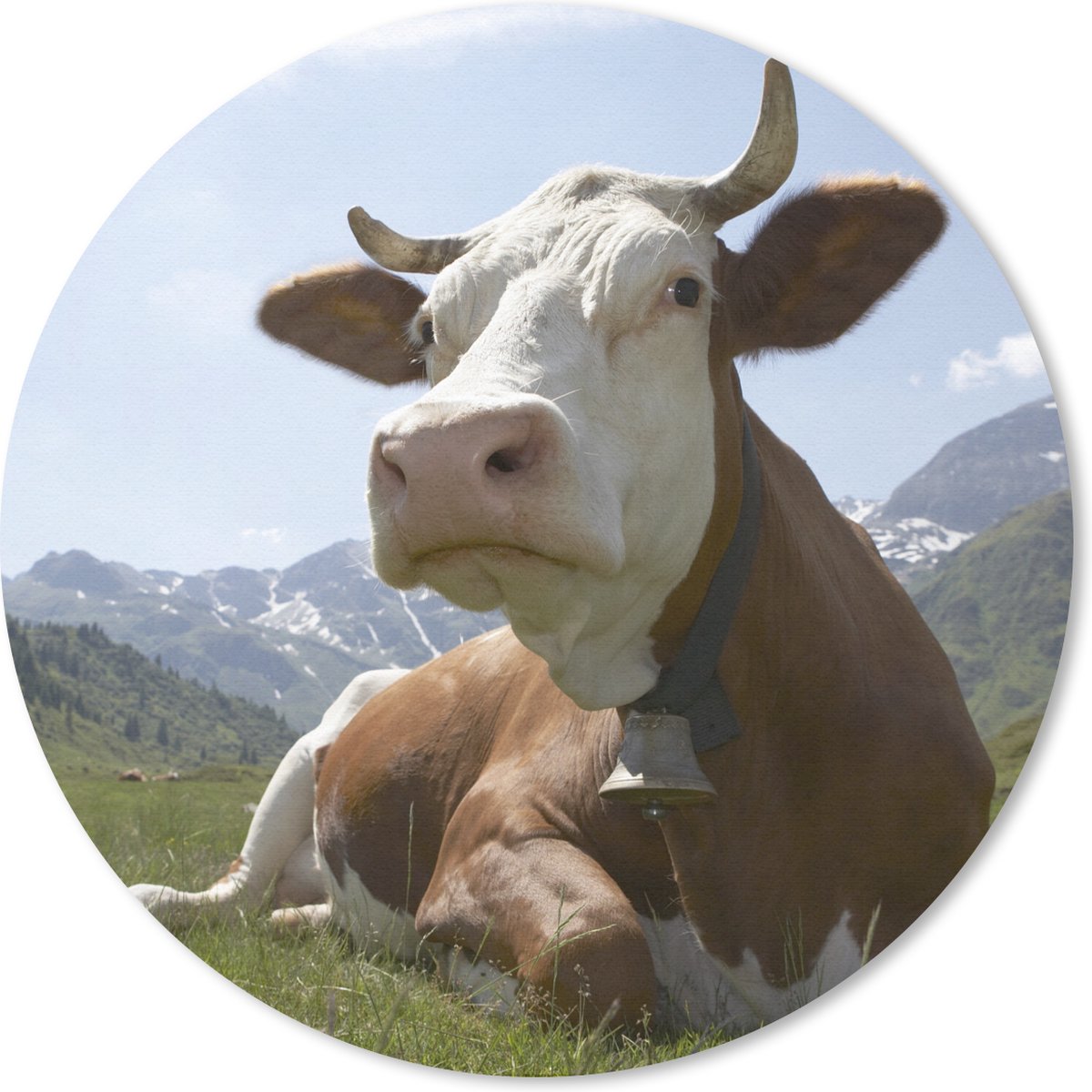 Muismat - Mousepad - Rond - Koe - Berg - Gras - 40x40 cm - Ronde muismat