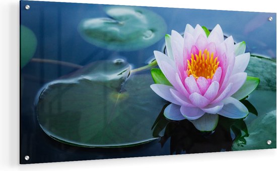 Artaza Glasschilderij - Roze Lotusbloem Met Waterlelies  - 60x30 - Klein - Plexiglas Schilderij - Foto op Glas