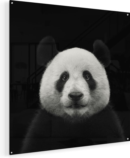 Artaza Glasschilderij - Panda - Pandakop  - 80x80 - Groot - Plexiglas Schilderij - Foto op Glas