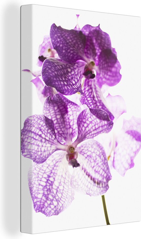 Canvas schilderij 90x140 cm - Wanddecoratie Paarse orchideeën - Muurdecoratie woonkamer - Slaapkamer decoratie - Kamer accessoires - Schilderijen