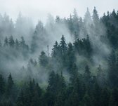 Misty Forest - Fotobehang (in banen) - 350 x 260 cm