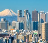 De vulkaan Mount Fuji achter de skyline van Tokio in Japan - Fotobehang (in banen) - 350 x 260 cm