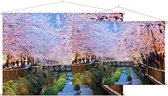 Kleurrijke kersenbloesem in bloei in nachtelijk Busan - Foto op Textielposter - 60 x 40 cm