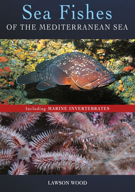 Sea Fishes Of The Mediterranean Including Marine Invertebrat ... - cover