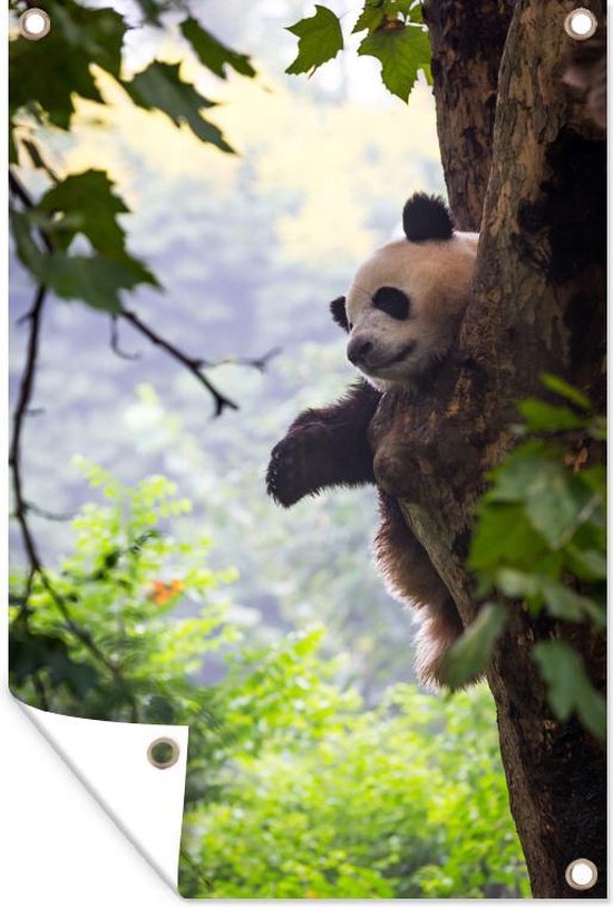 Muurdecoratie Panda Boom Bos 120x180 cm Tuinposter