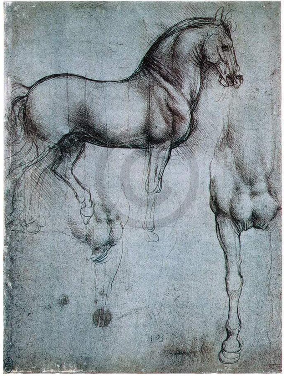 PGM Kunstdruk Leonardo Da Vinci - Studio di cavalli 35x50cm Divers