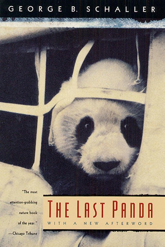 The Last Panda - cover