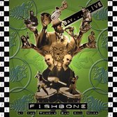 Fishbone Live At The Temple Bar & More