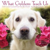 What Goldens Teach Us Kalender 2021
